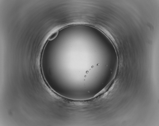 X0000113161197200909041248