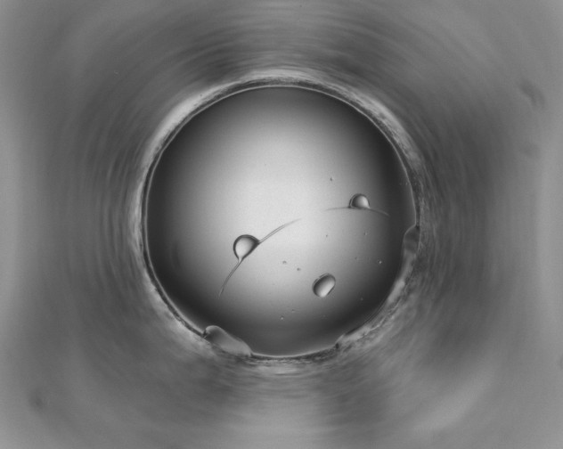 X0000113161199200909041248