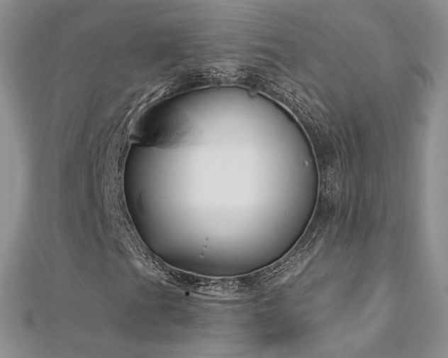 X0000113161201200909041248