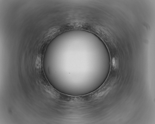 X0000113161203200909041248
