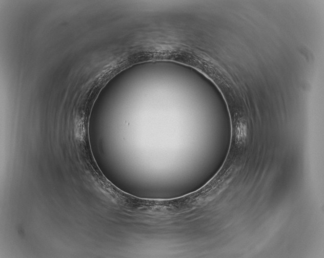 X0000113161204200909041248