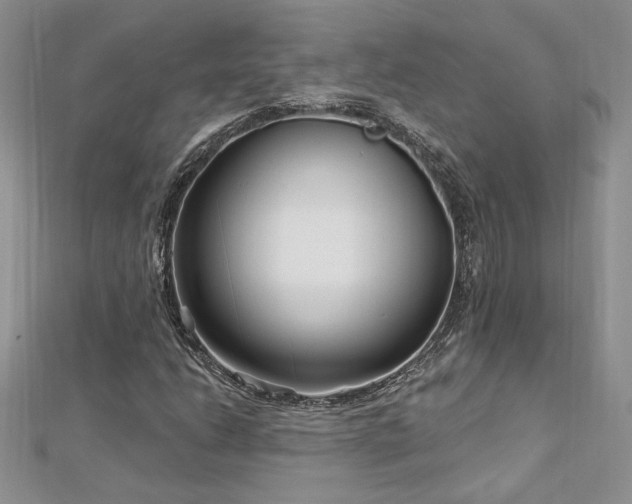 X0000113161206200909041248