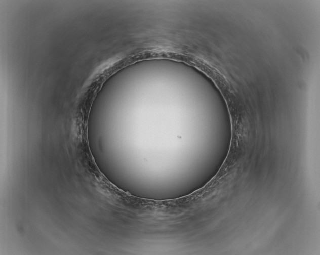 X0000113161207200909041248