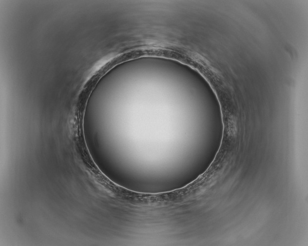 X0000113161208200909041248