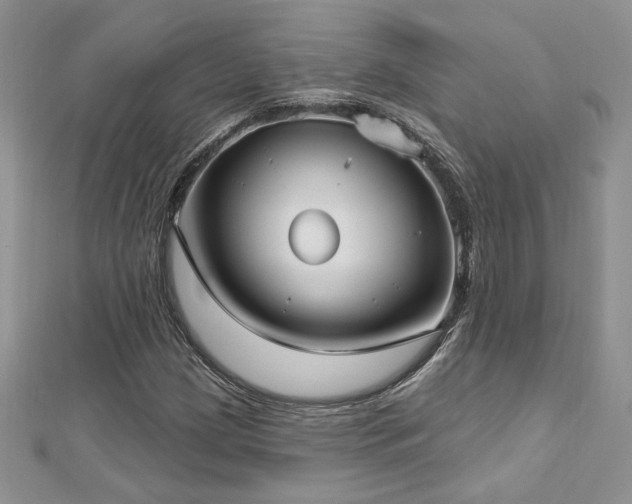 X0000113161209200909041248
