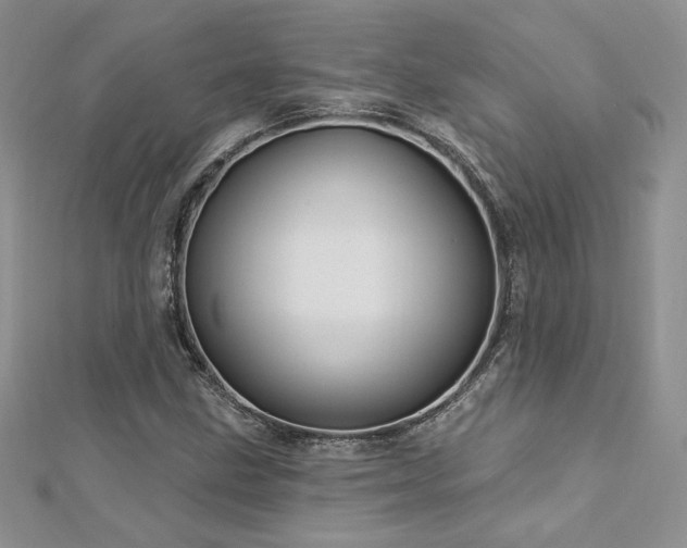 X0000113161211200909041248