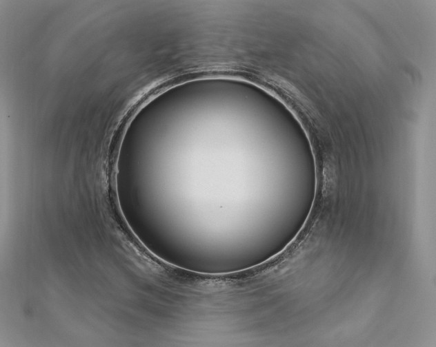X0000113161212200909041248