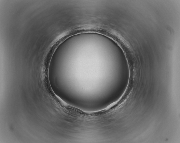 X0000113161213200909041248