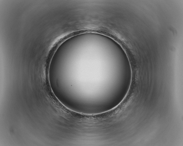 X0000113161214200909041248