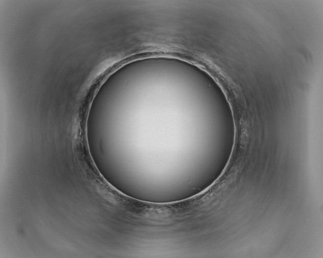 X0000113161215200909041248