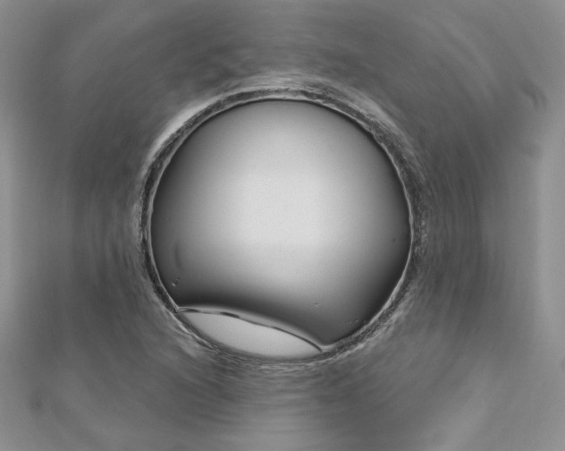 X0000113161216200909041248
