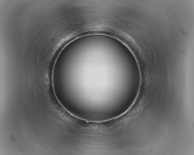 X0000113161218200909041248