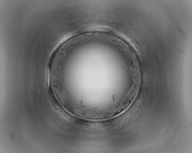 X0000113161219200909041248