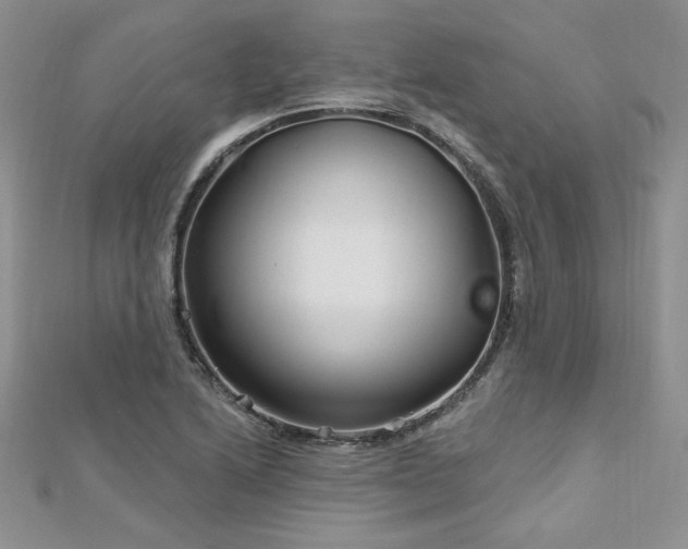 X0000113161222200909041248