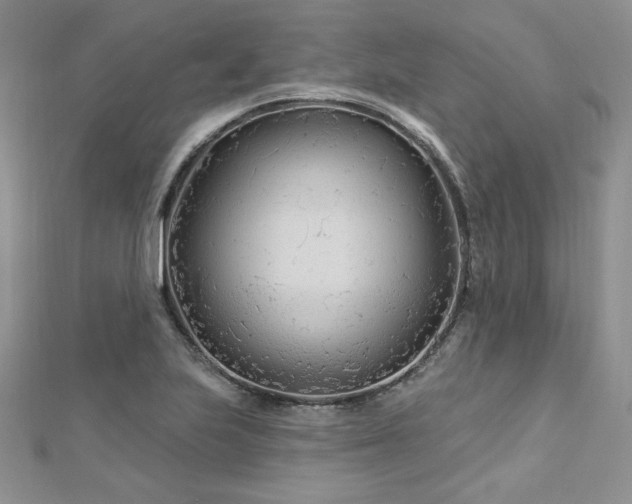 X0000113161223200909041248
