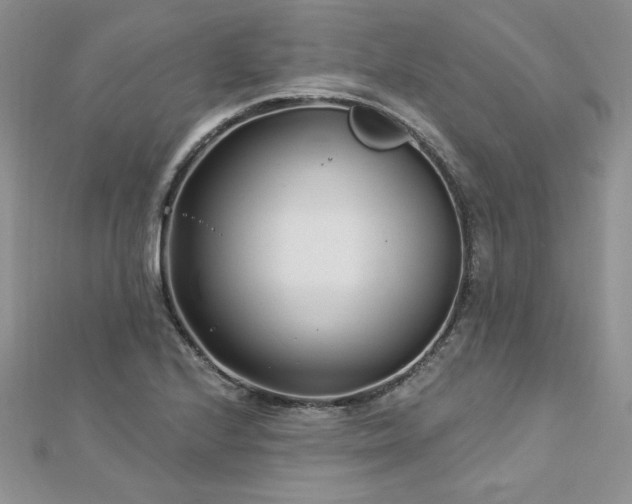 X0000113161224200909041248