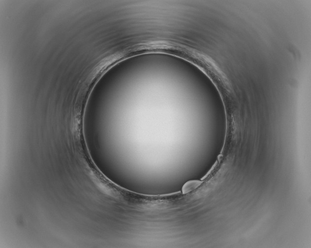 X0000113161225200909041248