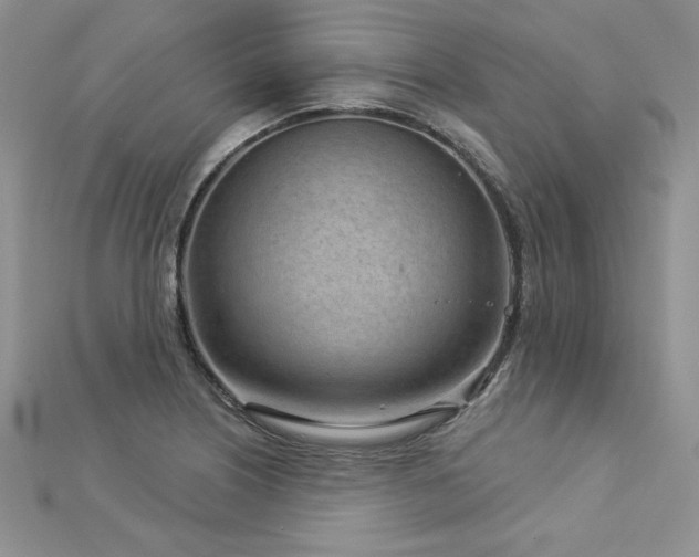 X0000113161226200909041248