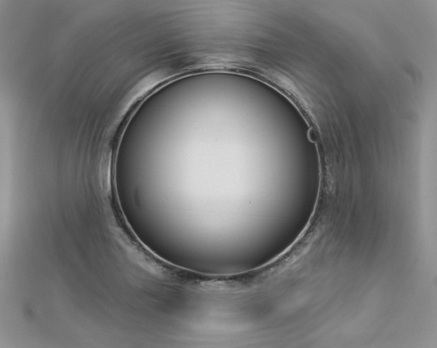 X0000113161227200909041248