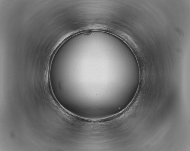 X0000113161228200909041248
