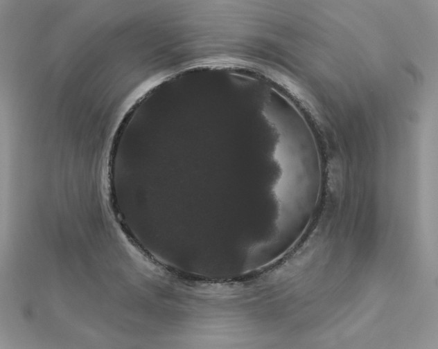 X0000113161229200909041248