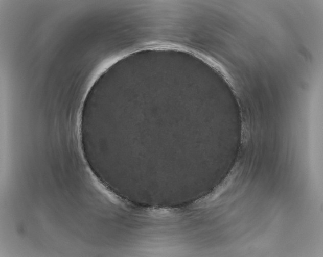 X0000113161231200909041248