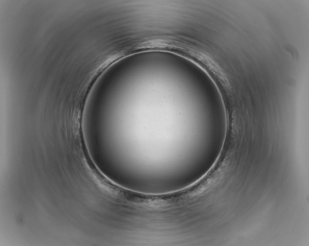 X0000113161233200909041248