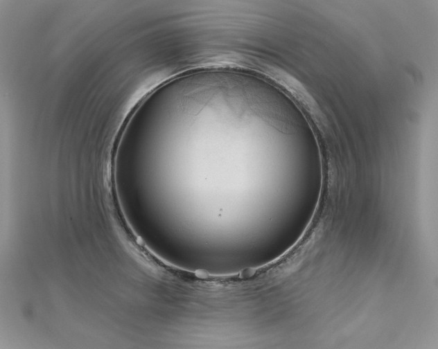 X0000113161234200909041248