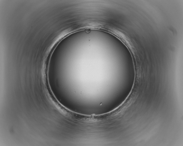X0000113161235200909041248
