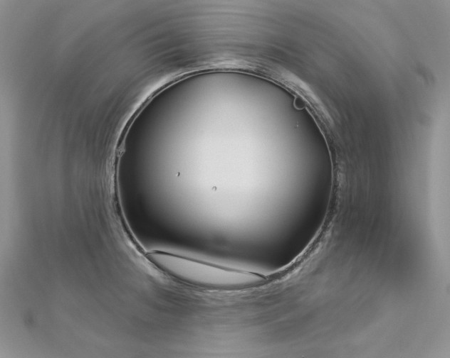 X0000113161236200909041248