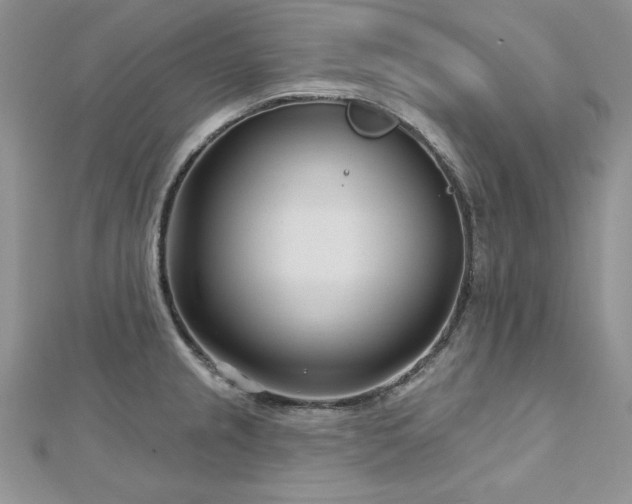 X0000113161237200909041248