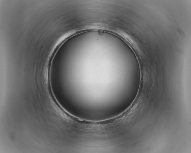 X0000113161238200909041248