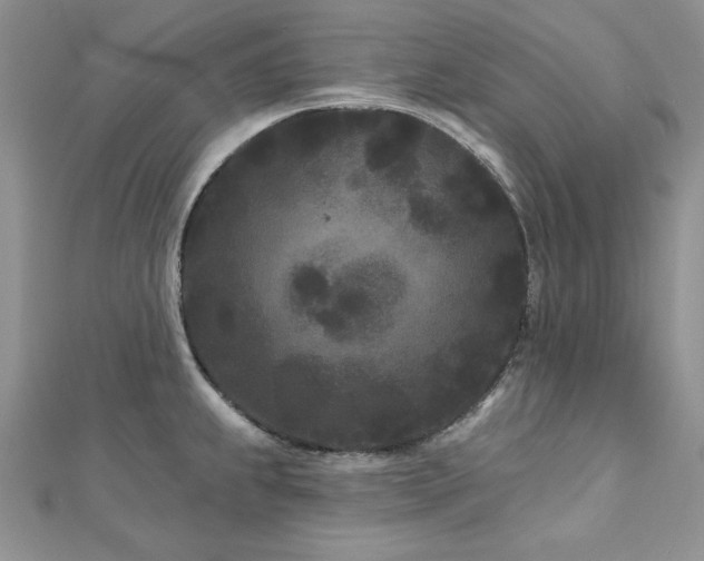 X0000113161239200909041248