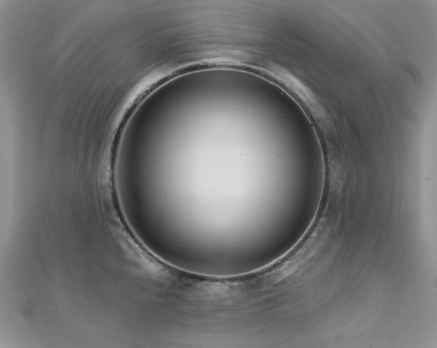 X0000113161240200909041248