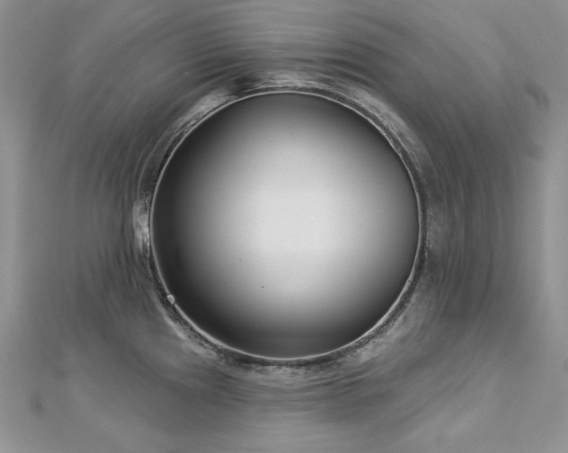 X0000113161241200909041248