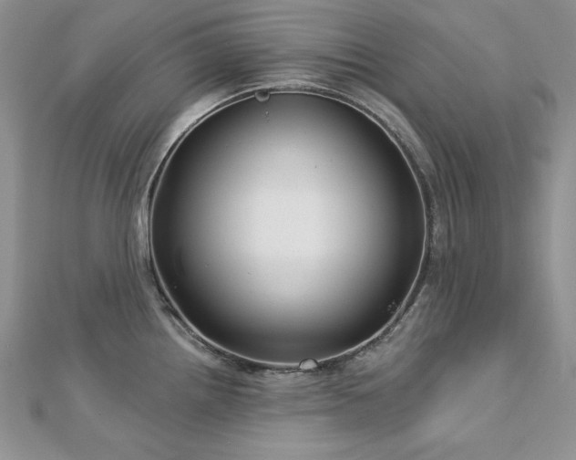X0000113161242200909041248
