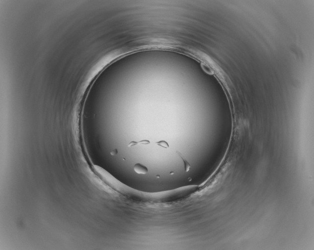 X0000113161243200909041248