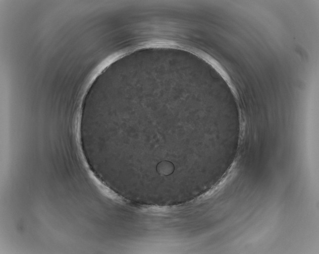 X0000113161245200909041248