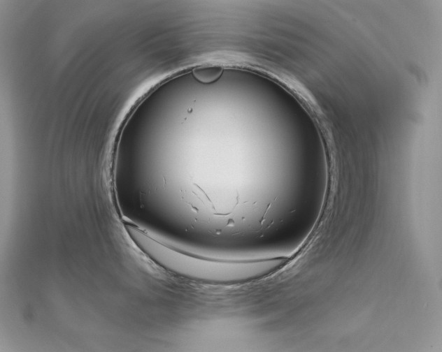 X0000113161248200909041248