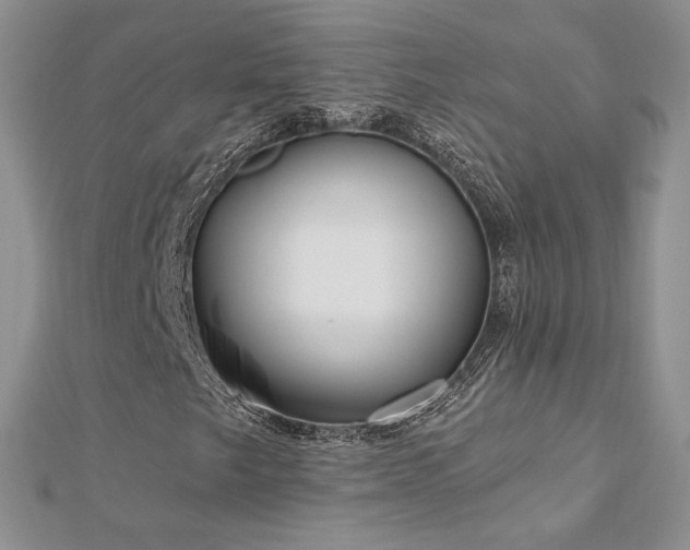 X0000113161249200909041248