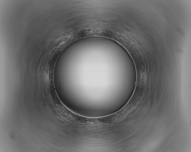 X0000113161250200909041248