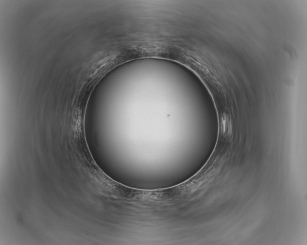 X0000113161251200909041248