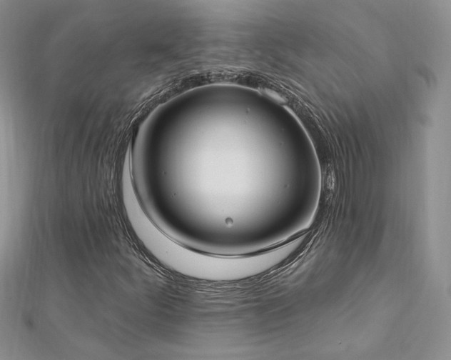 X0000113161252200909041248