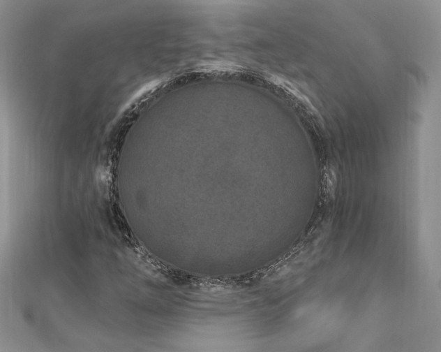 X0000113161254200909041248
