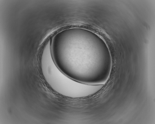 X0000113161256200909041248