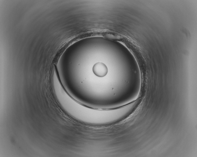 X0000113161257200909041248