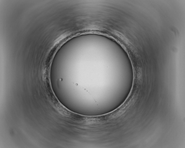 X0000113161258200909041248