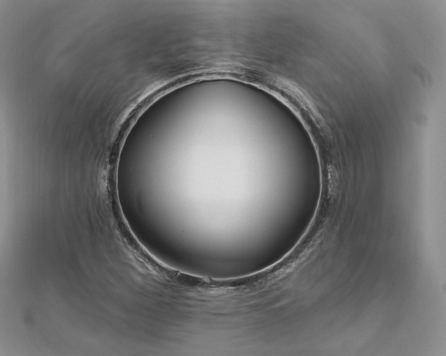X0000113161260200909041247