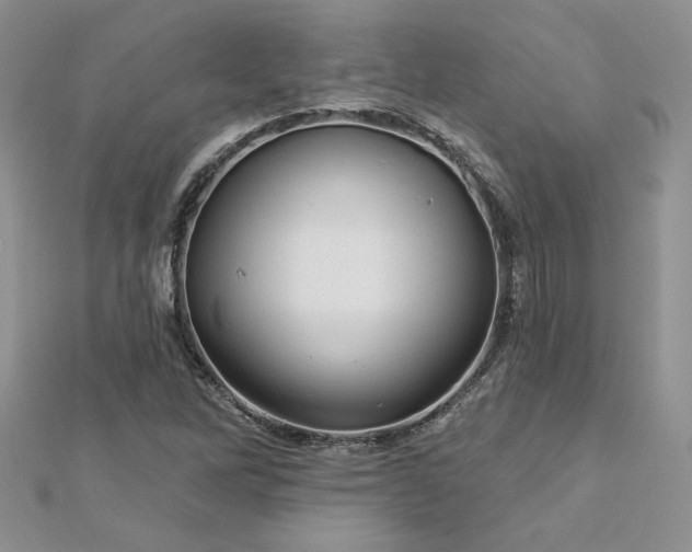 X0000113161262200909041247