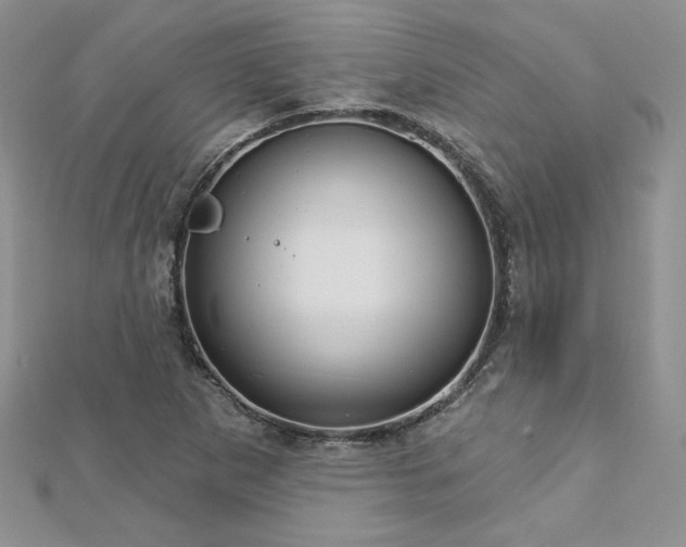 X0000113161265200909041247